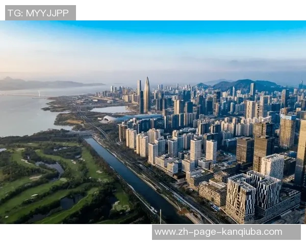 深圳与省级城市发展对比分析探讨经济增长与创新驱动的未来路径